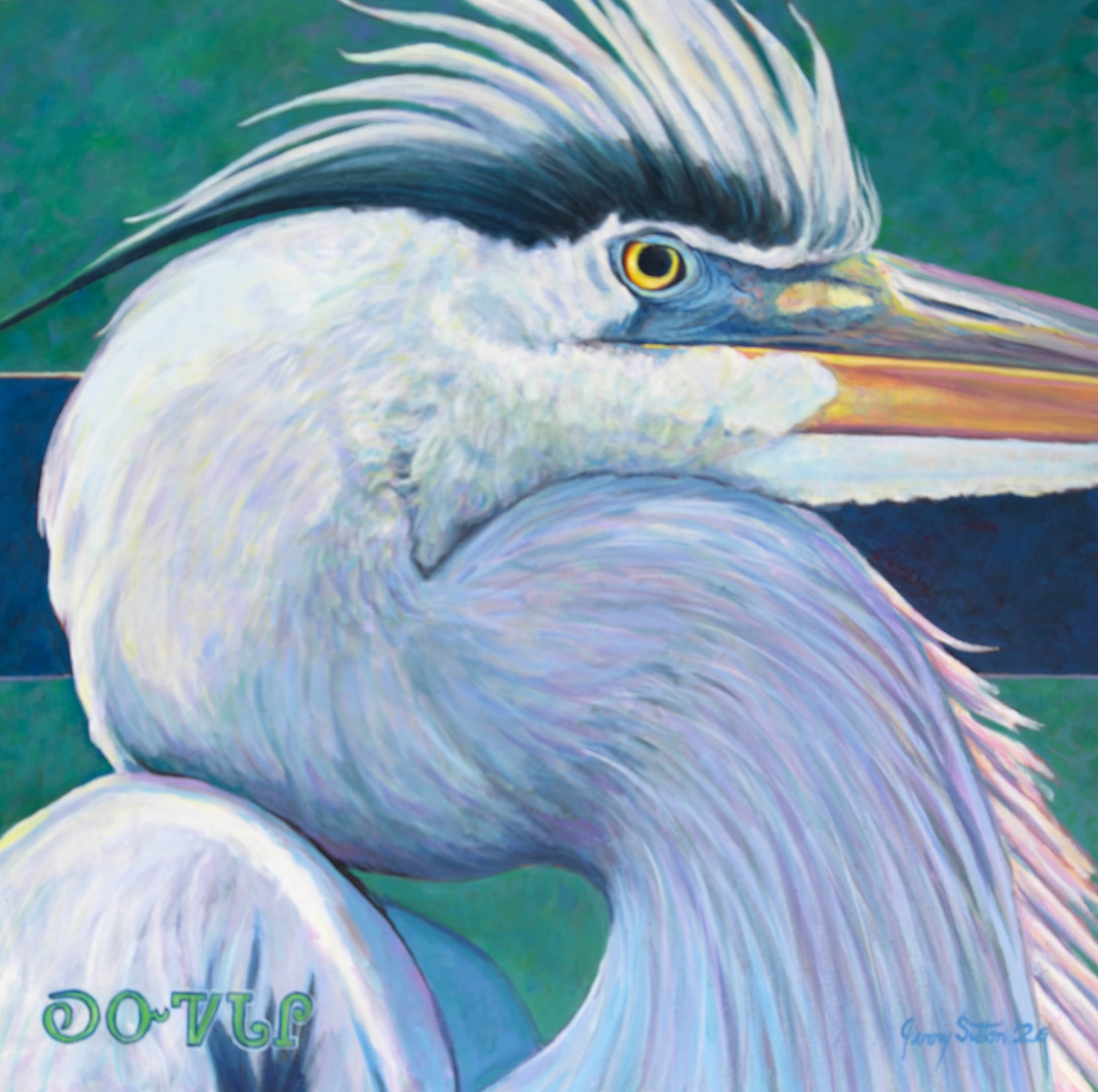 ᎧᏅᏤᏓᎵ (Kanvtsedali, Great Blue Heron)