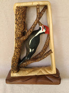 Pileated Woodpecker at Work