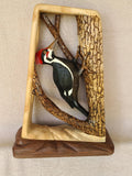 Pileated Woodpecker at Work