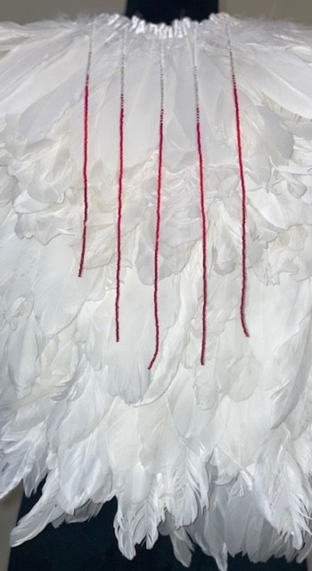 Feather Cape