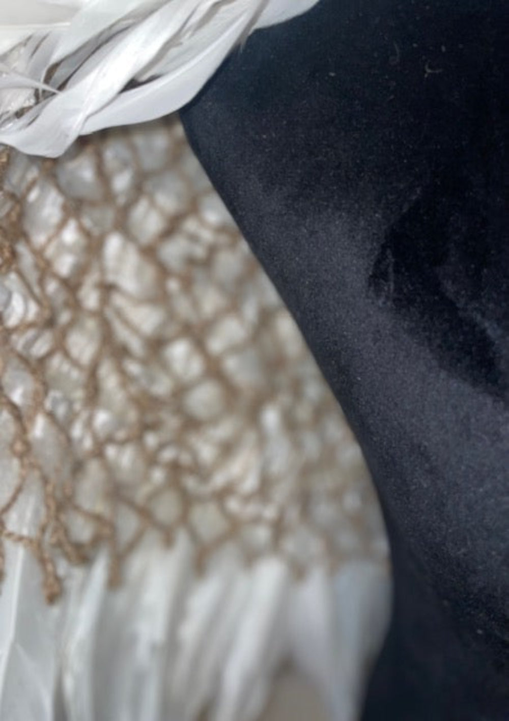 Feather Cape