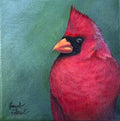 Fluffed Up