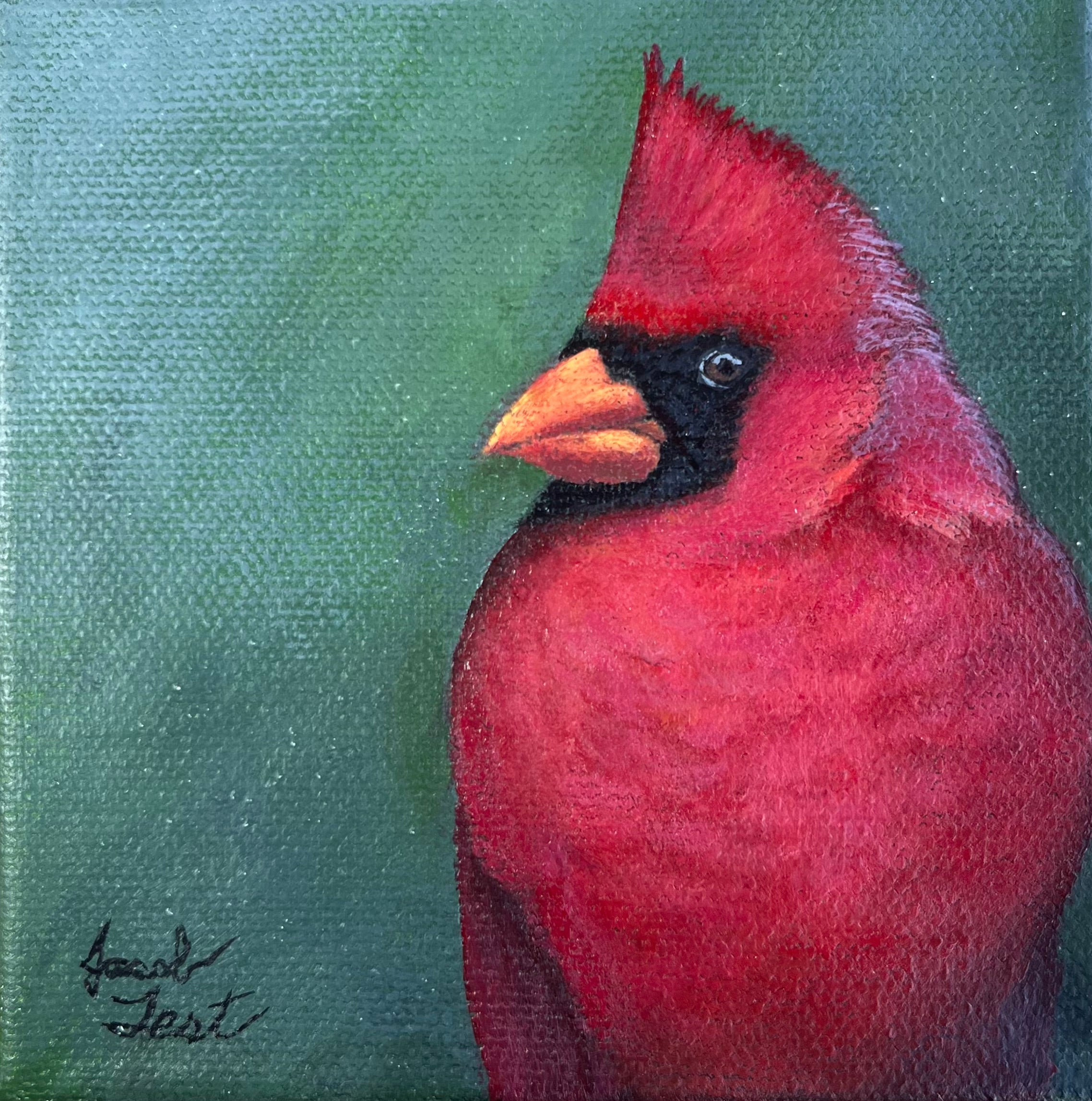 Fluffed Up