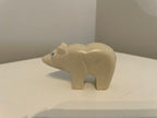 Spirit Bear